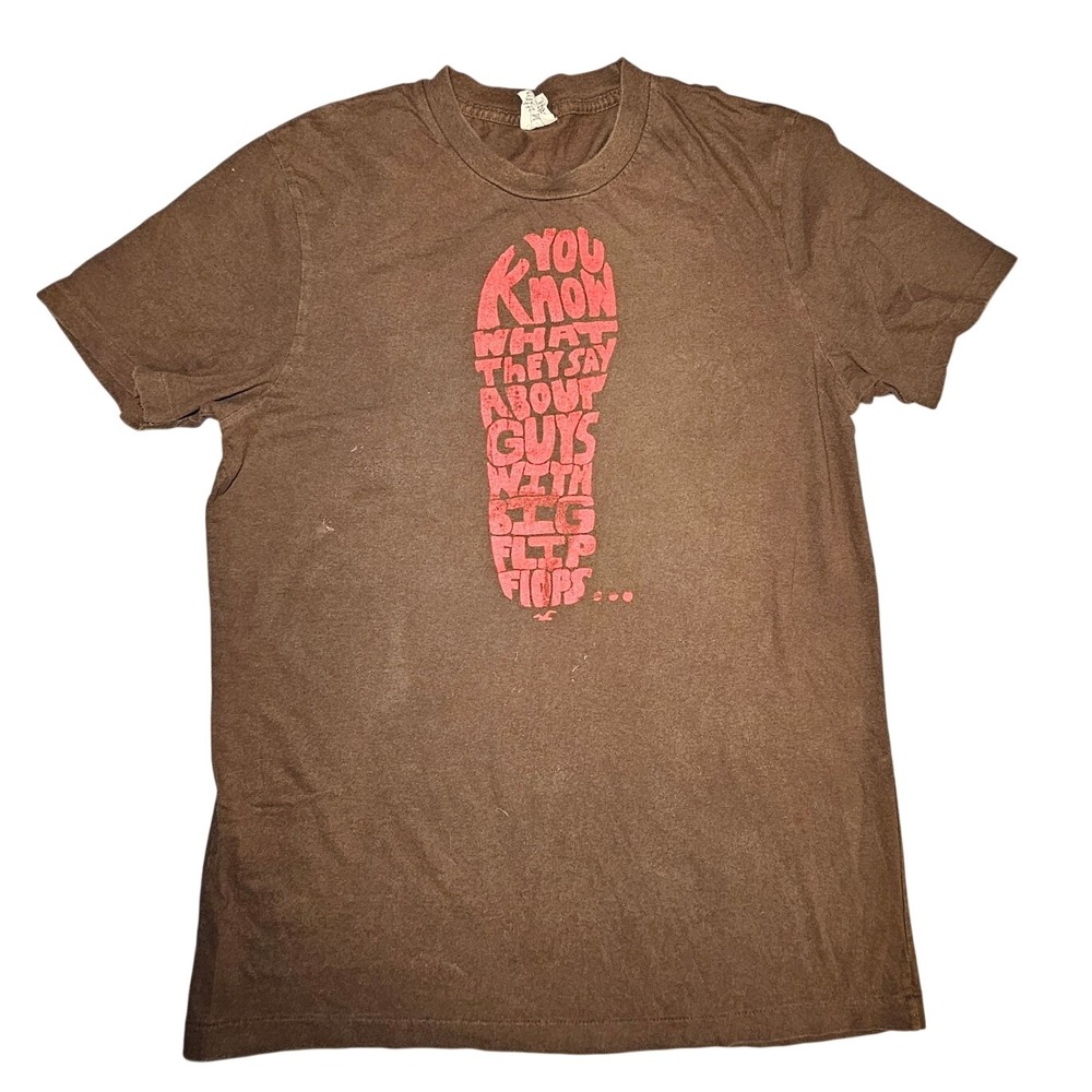 Hollister HCO Brown Big Flip Flops Graphic T-Shirt Large Brown Cotton Tee